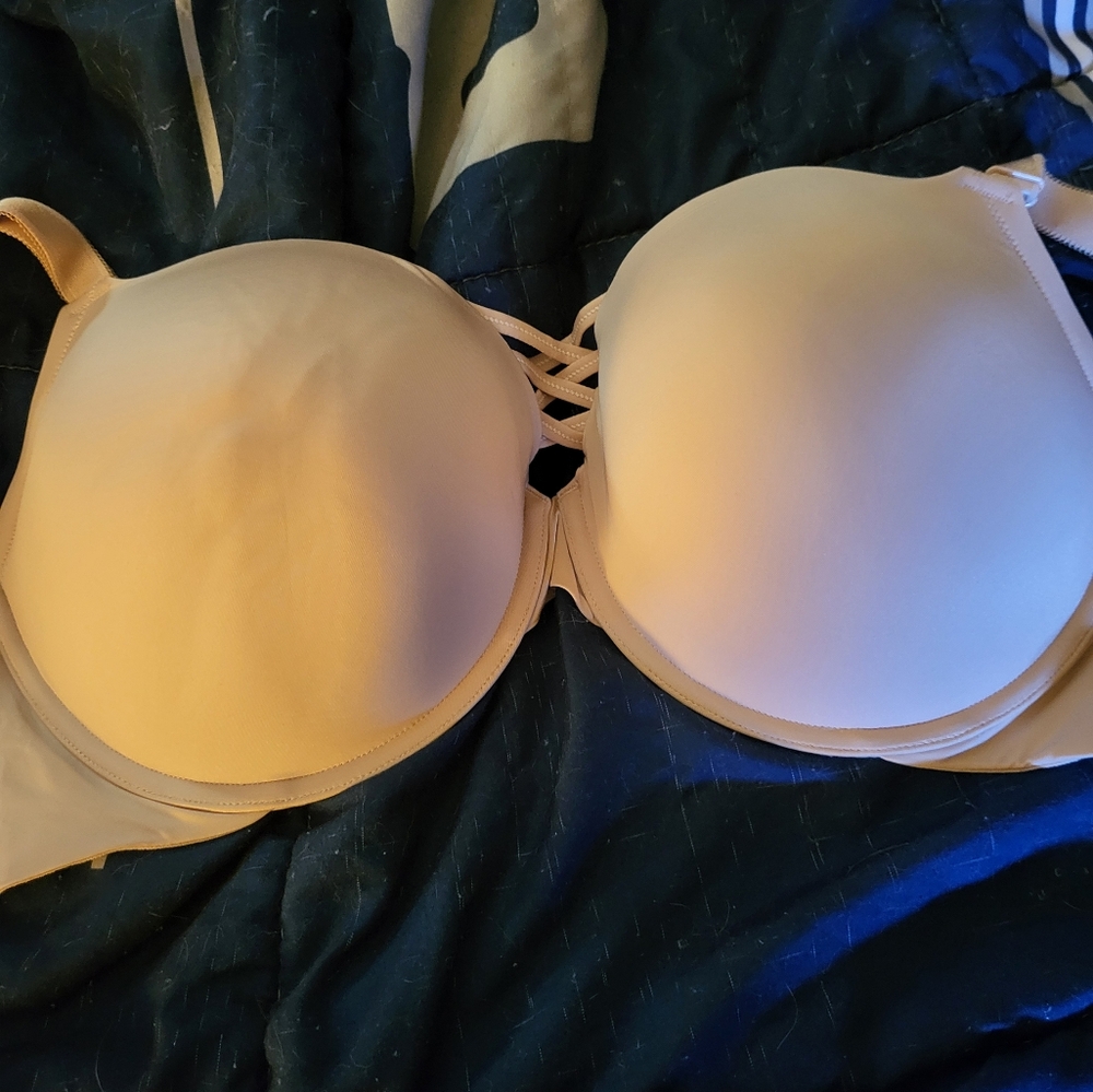 40F Torrid Curve Bra
